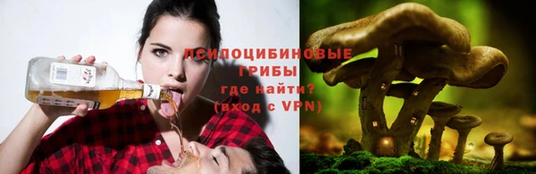 мяу мяу мука Вяземский