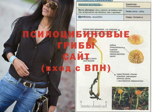 mdpv Горнозаводск